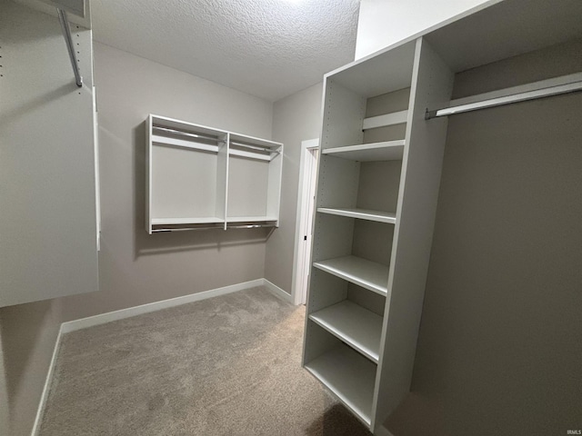 1544 Cananea Way, Fort Wayne, IN 46845 - spacious closet featuring carpet