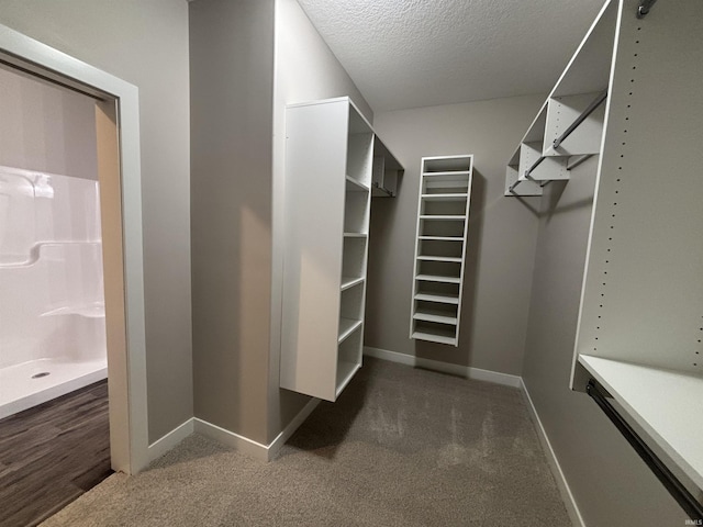 1544 Cananea Way, Fort Wayne, IN 46845 - spacious closet featuring dark carpet