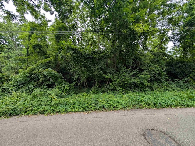 24ACRE W 15th St, Bloomington, IN 47404