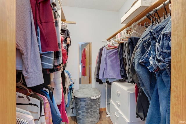 9536 Ballymore Dr, Fort Wayne, IN 46835 - view of walk in closet