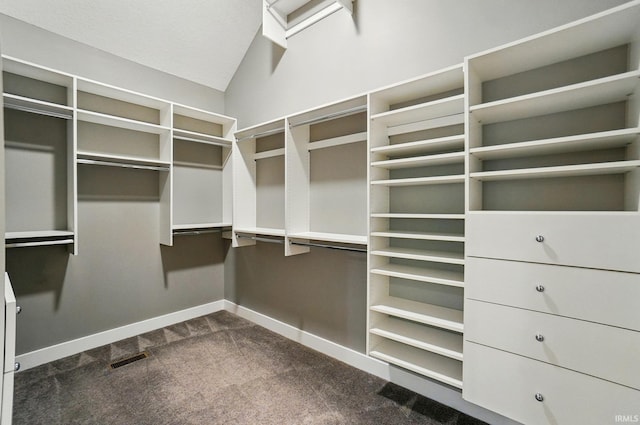 126 Tumbling Stone Ct, Fort Wayne, IN 46845 - spacious closet with dark colored carpet and lofted ceiling