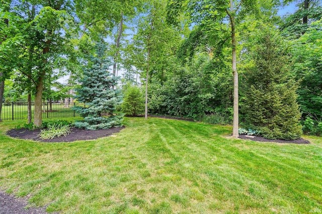 126 Tumbling Stone Ct, Fort Wayne, IN 46845 - view of yard