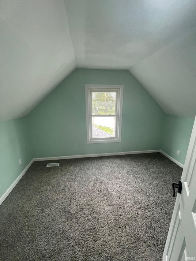 310 S Jefferson St, Bicknell, IN 47512 - bonus room featuring vaulted ceiling and dark carpet