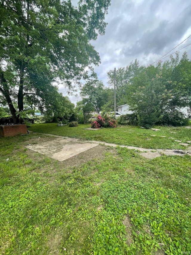 310 S Jefferson St, Bicknell, IN 47512 - view of grassy yard