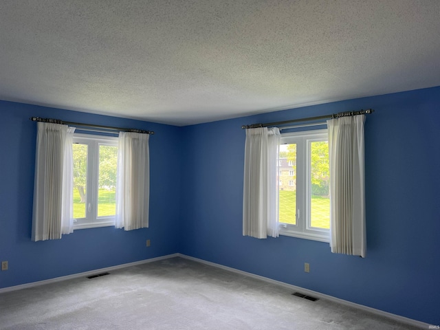 4501 N Wheeling Ave, Muncie, IN 47304 - carpeted empty room with healthy amount of natural light and a textured ceiling