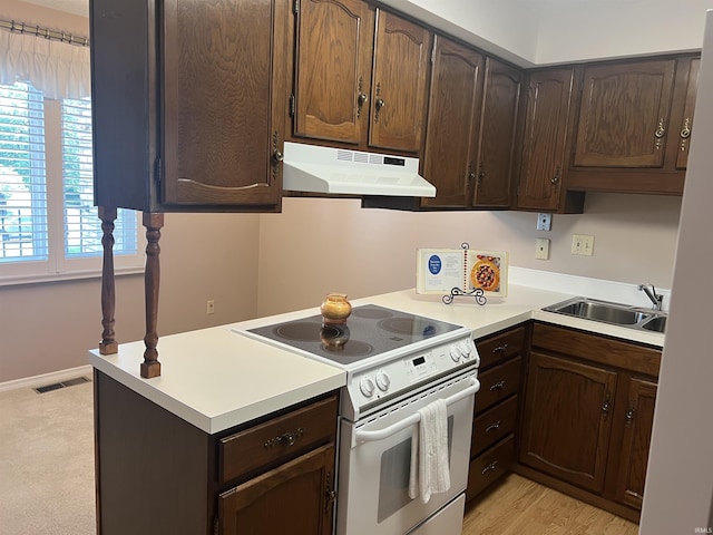 4501 N Wheeling Ave, Muncie, IN 47304 - kitchen featuring electric range, under cabinet range hood, light countertops, and dark brown cabinets