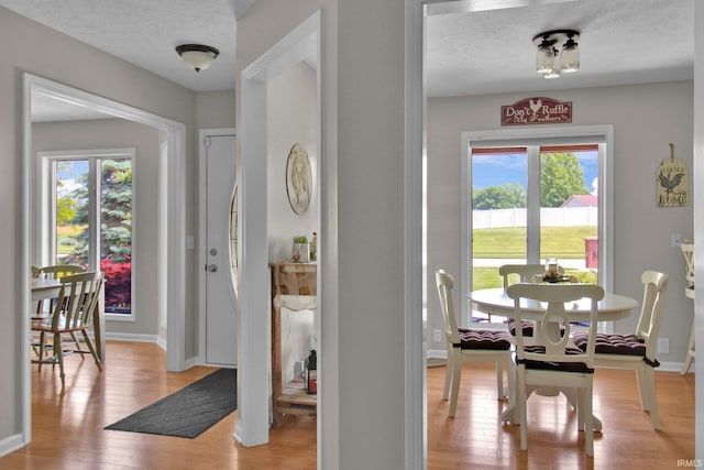 207 Meadows Dr, Greentown, IN 46936 - entrance foyer featuring light wood-type flooring, plenty of natural light, and a textured ceiling