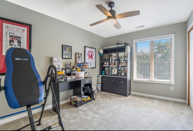 1006 Heather Rdg, Angola, IN 46703 - home office with a ceiling fan and carpet