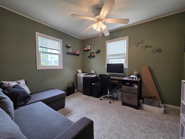 603 E 1st St, Fowler, IN 47944 - carpeted office featuring healthy amount of natural light, crown molding, and a ceiling fan