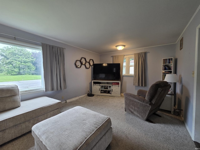 603 E 1st St, Fowler, IN 47944 - living area with carpet and baseboards