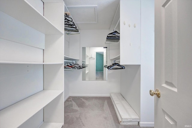 4539 N Shadow Wood Dr, Bloomington, IN 47404 - spacious closet with carpet flooring