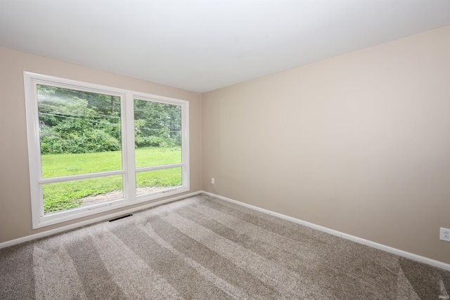 5219 Forest Grove Dr, Fort Wayne, IN 46835 - carpeted empty room featuring plenty of natural light