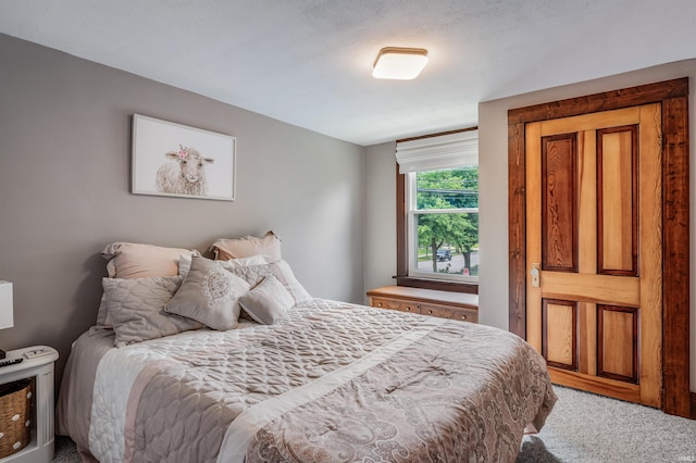 1209 S Jackson St, Auburn, IN 46706 - bedroom with light carpet