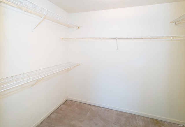 9040 Clear Creek Dr, Evansville, IN 47711 - walk in closet with light colored carpet