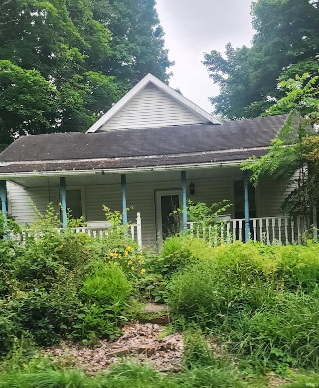 701 W Main St, Bruceville, IN 47516 - rear view of house featuring a shingled roof and covered porch