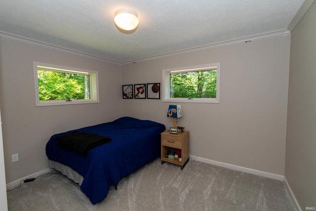 24413 Mckelvey Ave, Elkhart, IN 46516 - bedroom with multiple windows, carpet floors, and ornamental molding