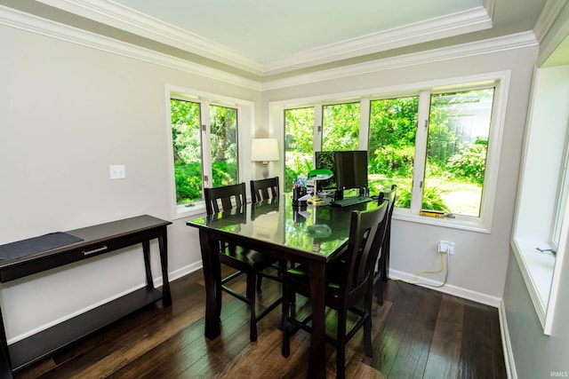 24413 Mckelvey Ave, Elkhart, IN 46516 - dining area with healthy amount of natural light, dark wood finished floors, and crown molding