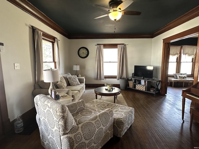 419 W Jefferson St, Kokomo, IN 46901 - living room featuring plenty of natural light, ornamental molding, ceiling fan, and dark wood finished floors