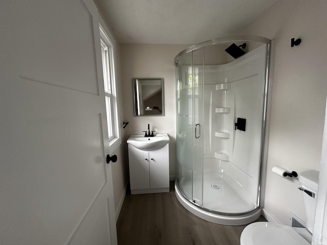 1014 E Donald St, South Bend, IN 46613 - full bath with wood finished floors, vanity, a stall shower, plenty of natural light, and a textured ceiling