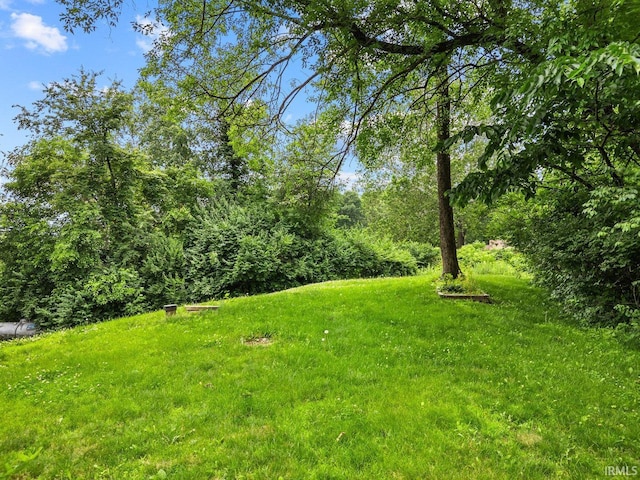 5818 Prophets Rock Rd, West Lafayette, IN 47906 - view of yard