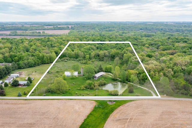 2506 N County Road 50 E, New Castle, IN 47362 - aerial view of property's location featuring property boundaries highlighted and a forest