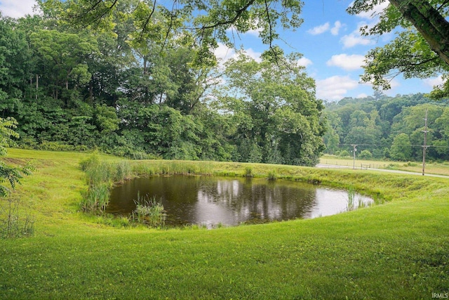 10154 W Rock E Rd, Bloomington, IN 47403 - water view featuring a heavily wooded area