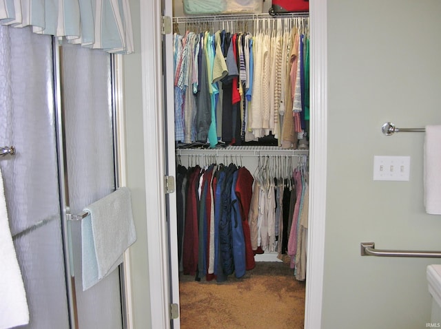 2622 Oak Trail Dr, Newburgh, IN 47630 - view of closet