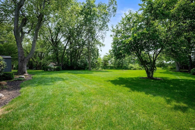 1105 N Buckeye Rd, Muncie, IN 47304 - view of grassy yard