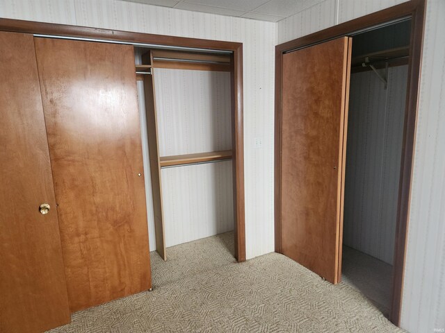 6480 E Mcguire Rd, Churubusco, IN 46723 - view of closet