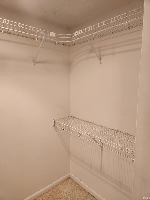 6480 E Mcguire Rd, Churubusco, IN 46723 - walk in closet featuring carpet flooring