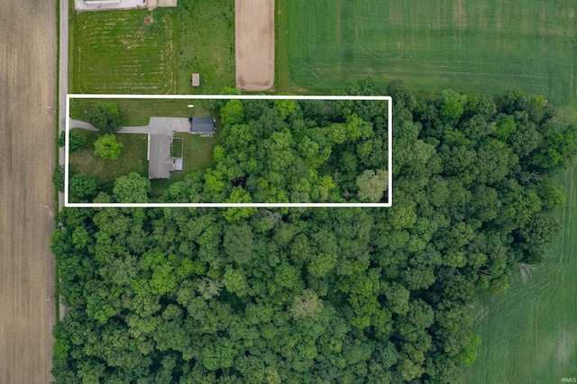 15880 N County Road 300 W, Gaston, IN 47342 - aerial view of property's location featuring property boundaries highlighted