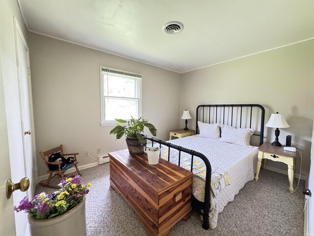 1635 Liberty St, Covington, IN 47932 - bedroom with a baseboard heating unit, carpet floors, and ornamental molding