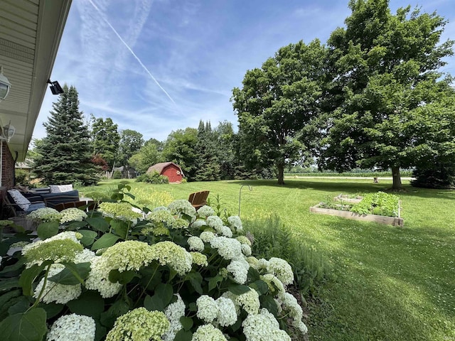 1635 Liberty St, Covington, IN 47932 - view of green lawn with an outdoor structure and view of wooded area