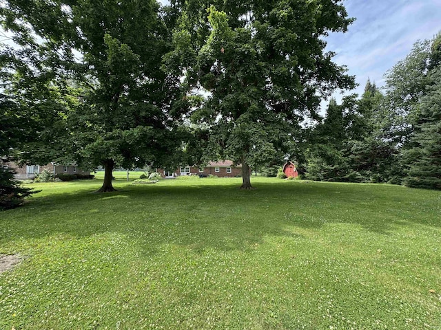 1635 Liberty St, Covington, IN 47932 - view of grassy yard