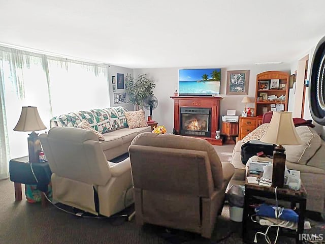 485 Boone St, New Haven, IL 62867 - living area with a glass covered fireplace