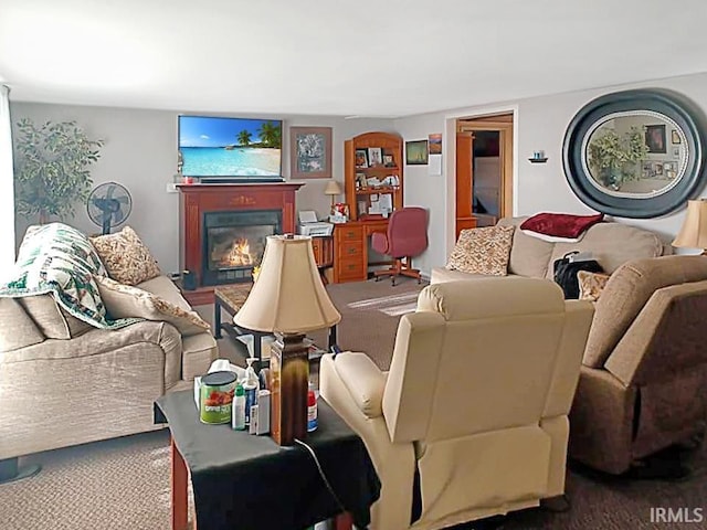 485 Boone St, New Haven, IL 62867 - living room with carpet and a glass covered fireplace