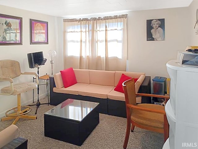 485 Boone St, New Haven, IL 62867 - carpeted living room with baseboards
