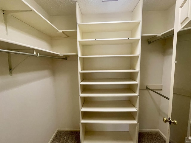845 Crosspointe Ct, Wabash, IN 46992 - walk in closet featuring carpet