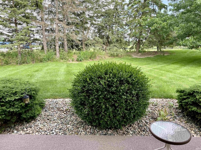 845 Crosspointe Ct, Wabash, IN 46992 - view of green lawn