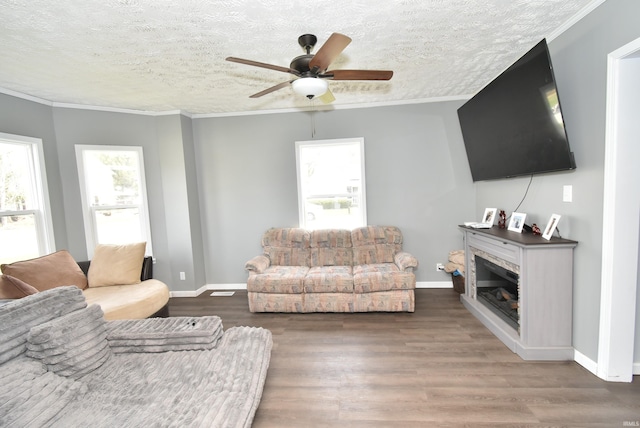 206 N Van Buren Ave, Fowler, IN 47944 - living room with a textured ceiling, wood finished floors, a glass covered fireplace, ceiling fan, and ornamental molding