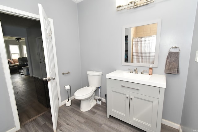 206 N Van Buren Ave, Fowler, IN 47944 - full bathroom with wood finished floors, vanity, and a ceiling fan