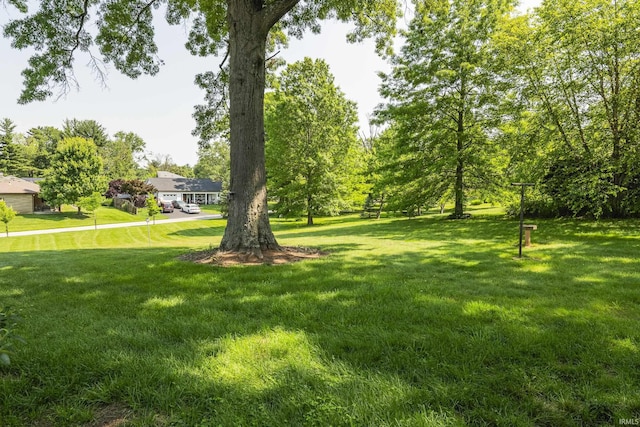 2330 N Fritz Dr, Bloomington, IN 47408 - view of green lawn