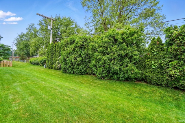 1322 Canal Ridge Dr, New Haven, IN 46774 - view of yard