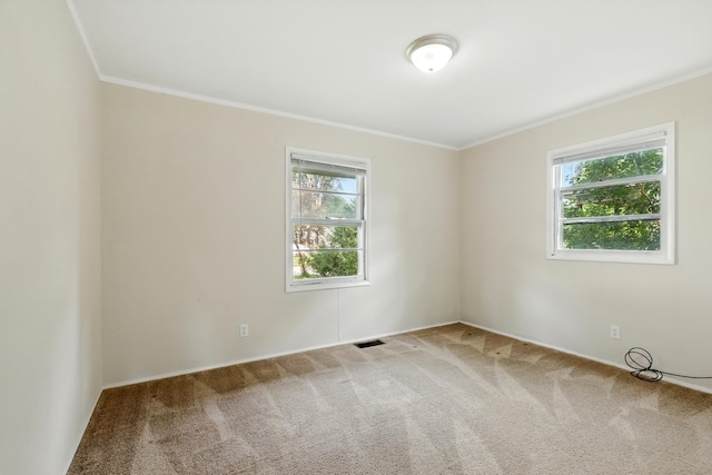 1610 Kentucky Ave, Fort Wayne, IN 46805 - spare room featuring crown molding and carpet floors