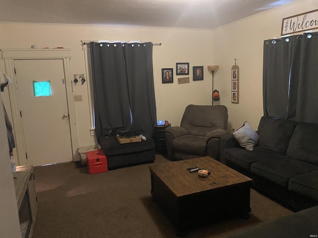 506 N Sprunger St, Berne, IN 46711 - carpeted living room with crown molding