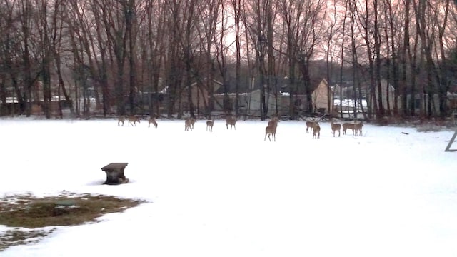 1402 Jackson Rd, South Bend, IN 46614 - view of yard layered in snow
