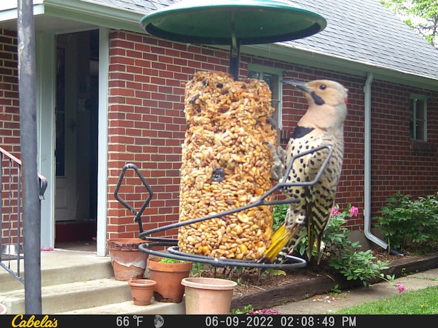 1402 Jackson Rd, South Bend, IN 46614 - exterior view of brick siding, roof with shingles, gutters, and a downspout