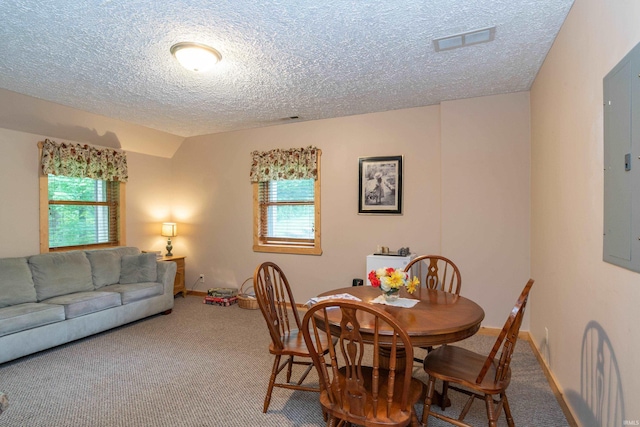 1275 N Sewell Rd, Bloomington, IN 47408 - dining area with a textured ceiling, carpet flooring, electric panel, and healthy amount of natural light