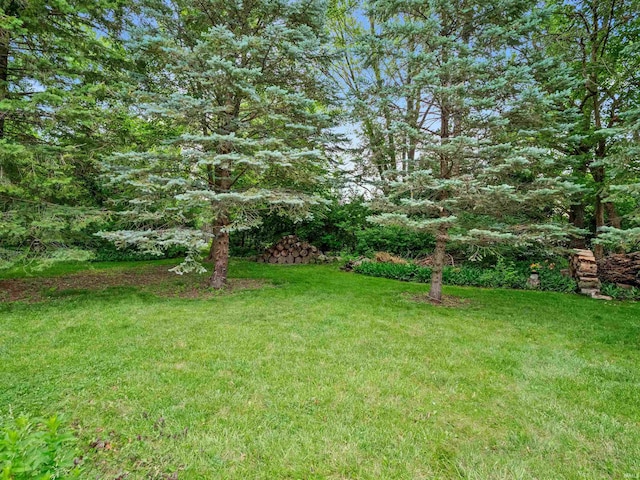 3723 Pebblewood Pl, Fort Wayne, IN 46804 - view of grassy yard