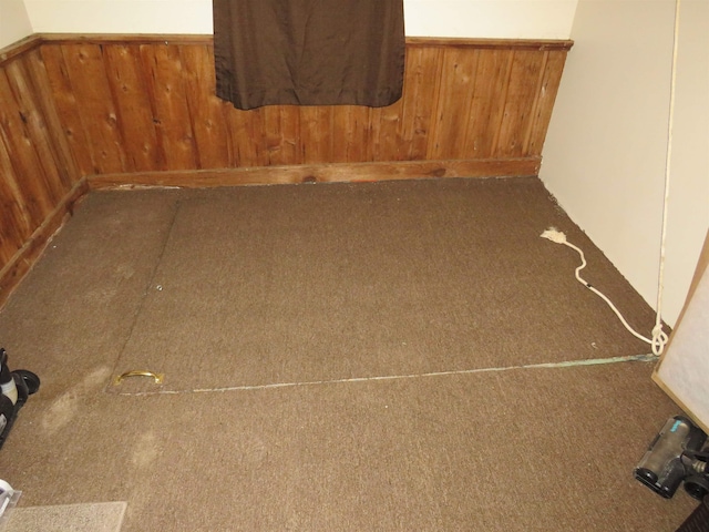 219 Fulton Ave, Rochester, IN 46975 - carpeted empty room with wooden walls